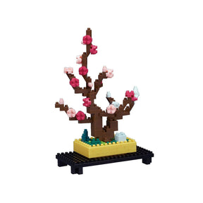 NBH_134 -  Bonsai